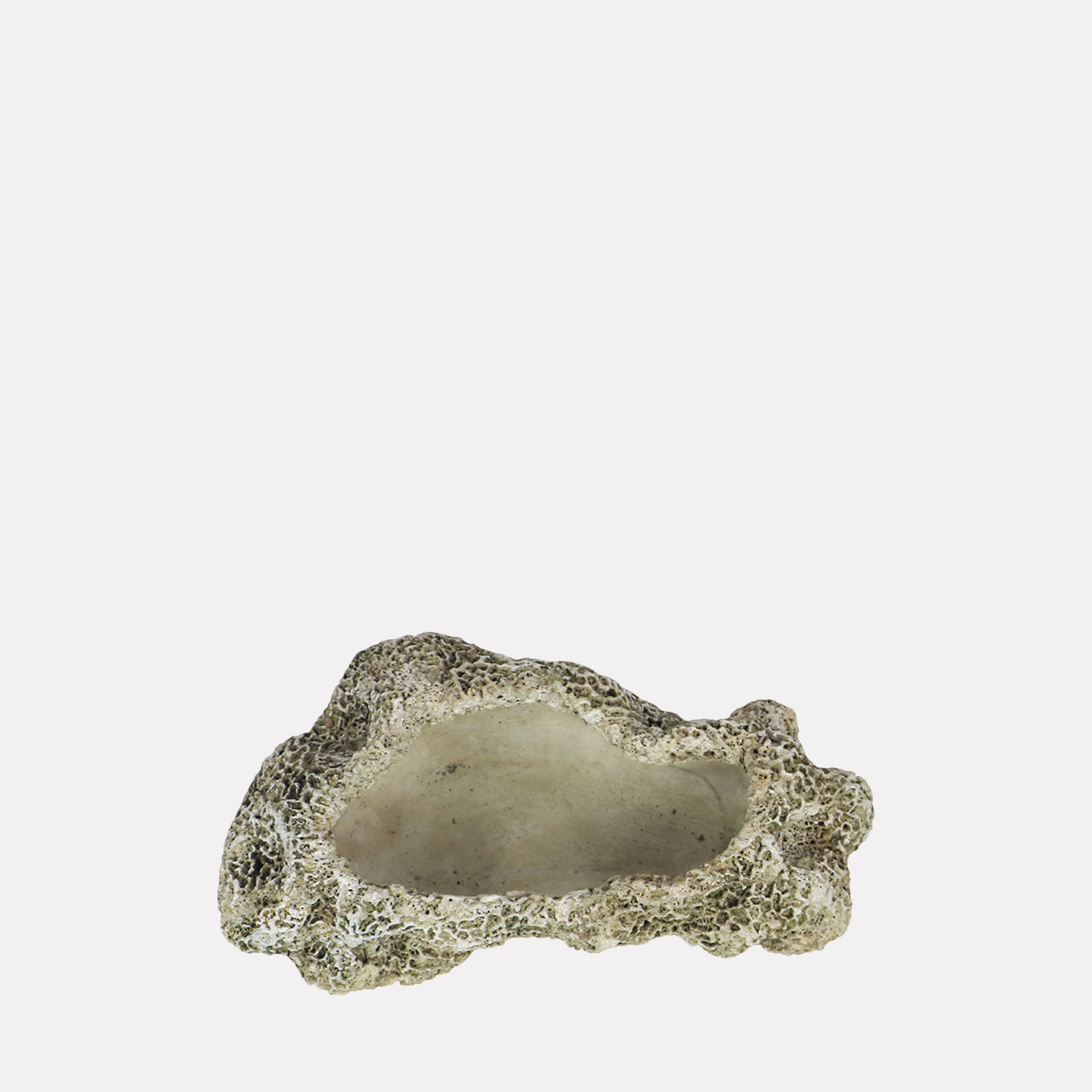 <small>Matero</small> <br><b>Coral Concreto Alargado</b> - Imagen 2