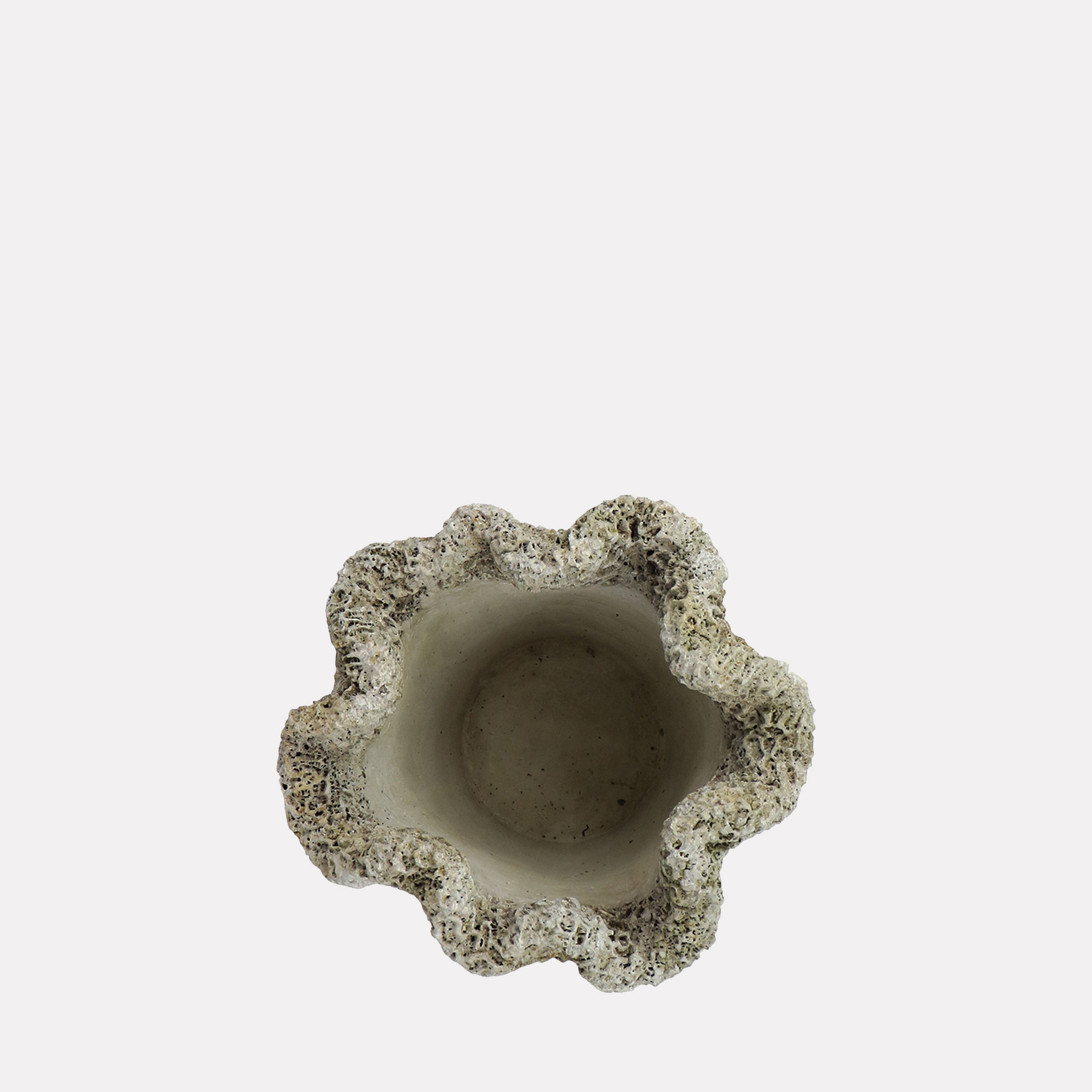 <small>Matero</small> <br><b>Coral Concreto Alto</b> - Imagen 2