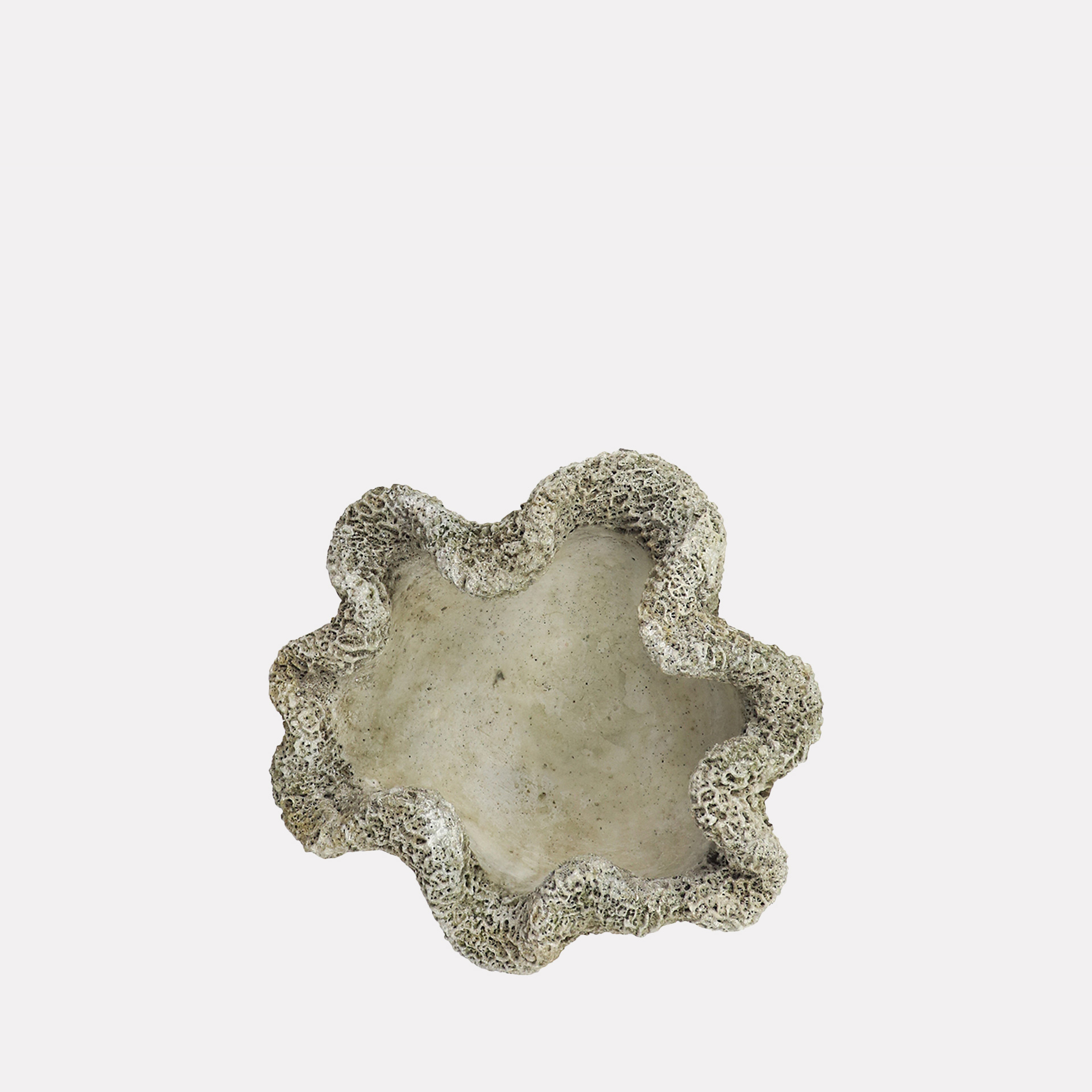 <small>Matero</small> <br><b>Coral Concreto Arrugas</b> - Imagen 2